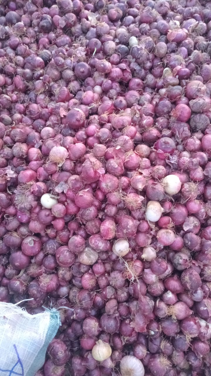 Onions